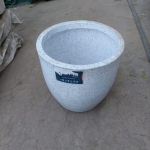 import placeholder for 3135