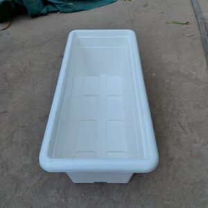 import placeholder for 3137