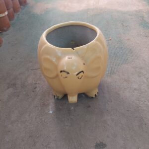 import placeholder for 3115