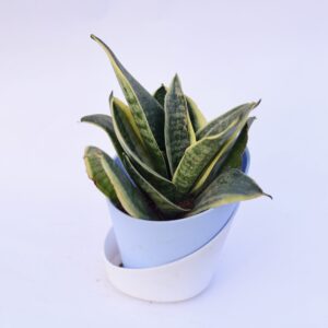 import placeholder for 2159
