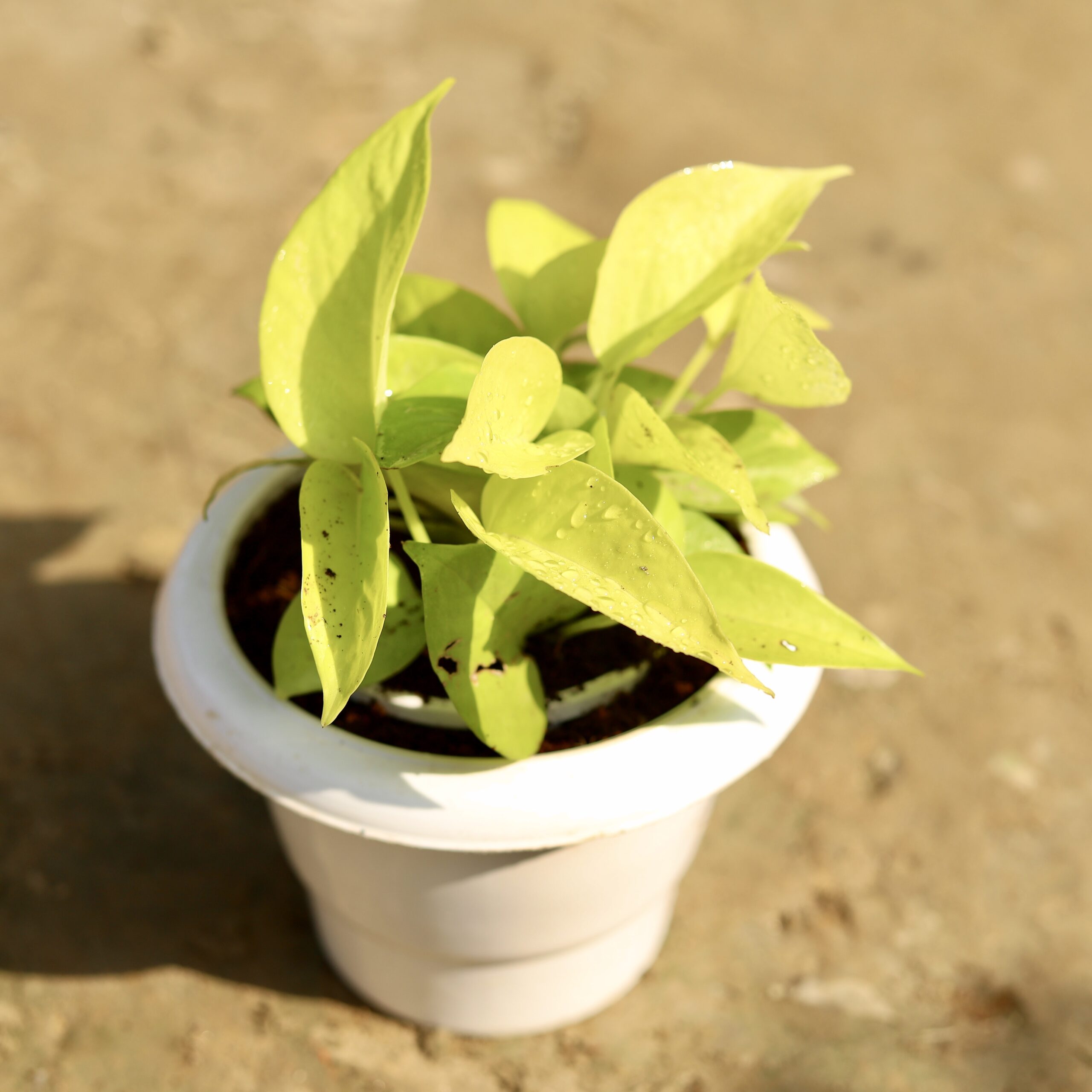 import placeholder for 2822 import placeholder for 2822