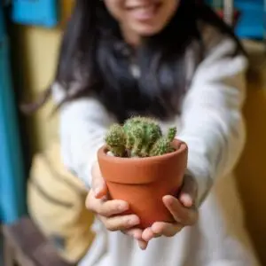 Plants for Someone Special