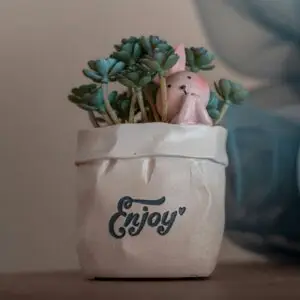 Birthday Gifts