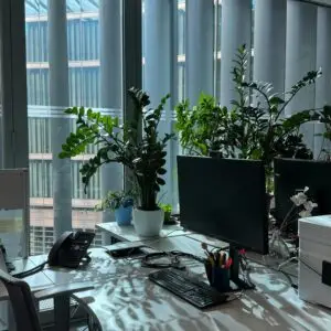 Gifts for Office