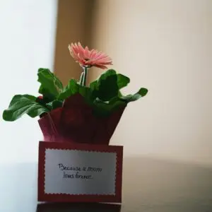 Mother's Day Gift