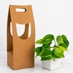 money plant gift pack with 4 inch square ceramic pot