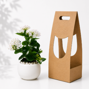 ixora plant gift pack with 6 inch ceramic pot