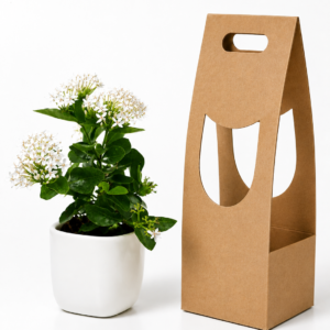 ixora plant gift pack with 6 inch cup ceramic pot