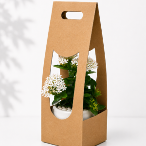 ixora plant gift pack with 6 inch cup square/ cup pot