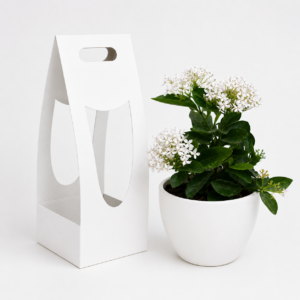 ixora plant gift pack with 6 inch cup square/ cup pot