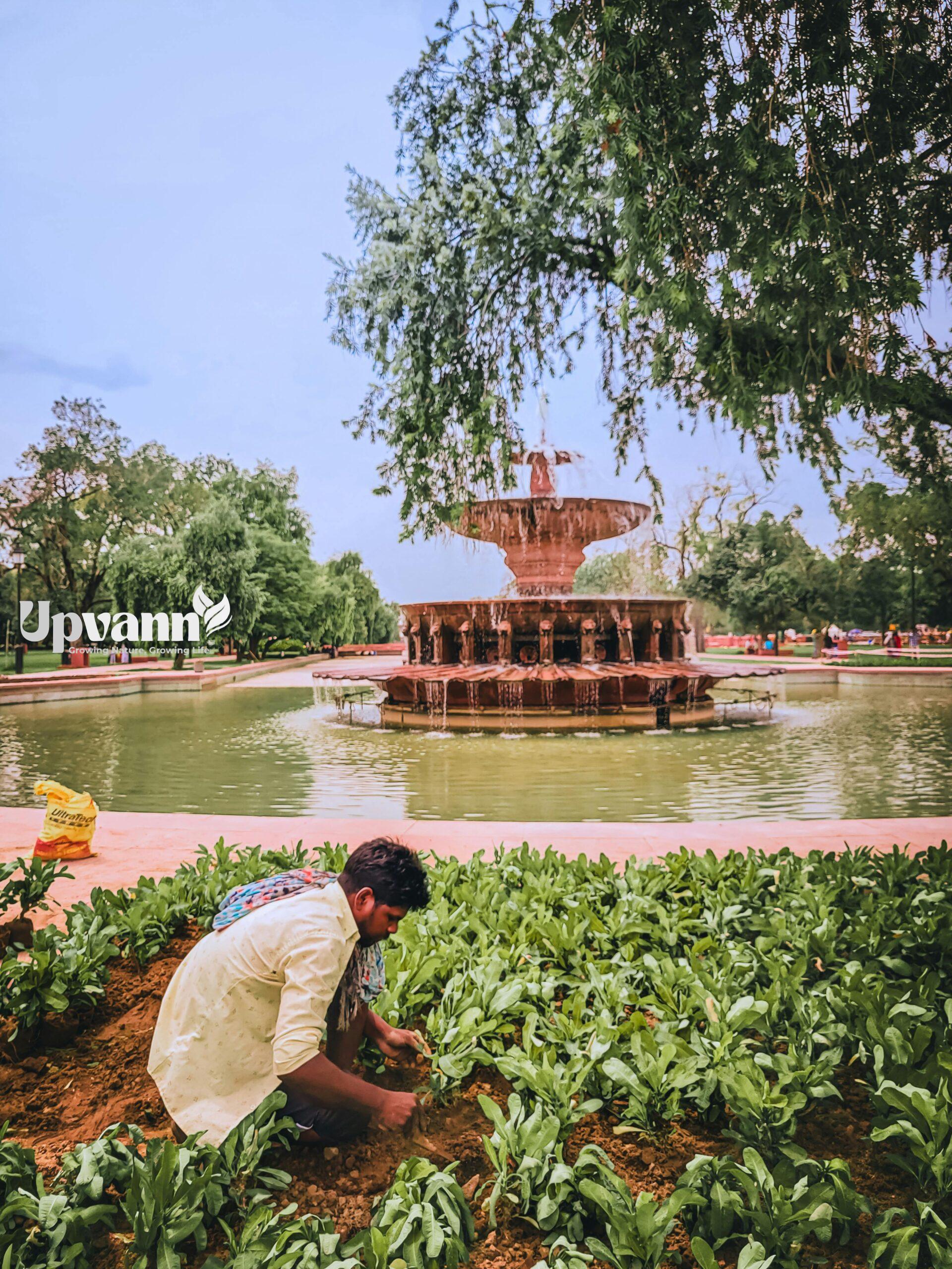 pexels photo 30574621 30574621 A gardener tending plants by a fountain in New Delhi's lush park.