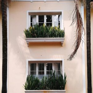 Window Rectangular Planters