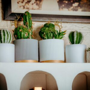 Designer Plastic Pots