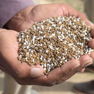 Organic Fertilizers
